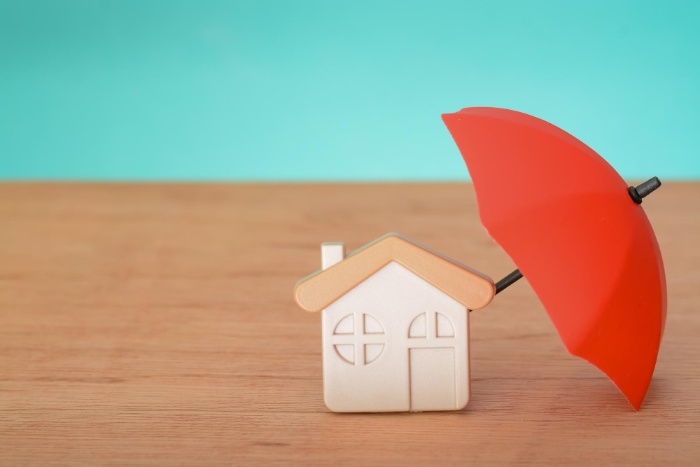 Flats vs Individual Houses During Monsoon – Which One Is Easier to Maintain?